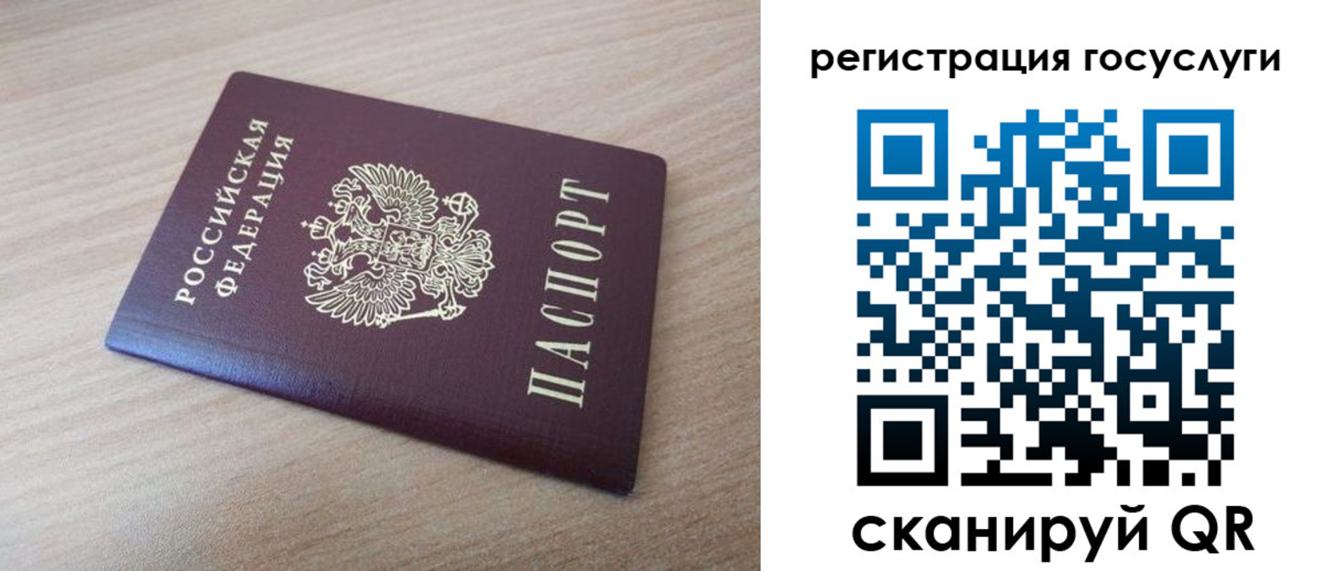 прописка гарантия в Каменке